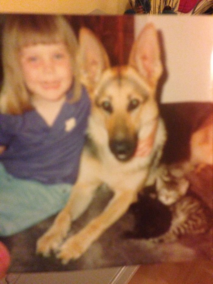 A Little Blurry As It's 24 Years Ago... But This Is Kelly The German Shepherd With Her "litter", Me, And Kittens Tammy, Toby & Charlie. She Was A Very Good Mummy! 💗