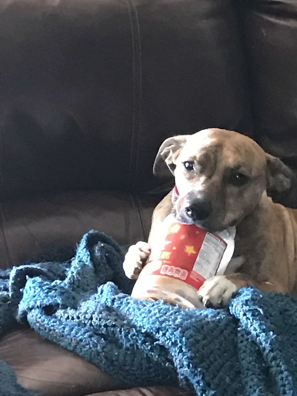 Somehow She Can Find An Empty Peanut Butter Jar A Mile Away