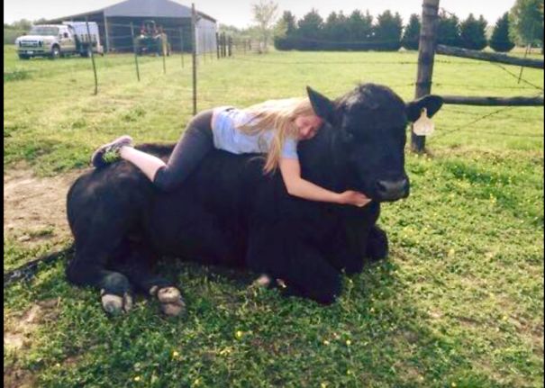 Bull Riding Gone Soft💝