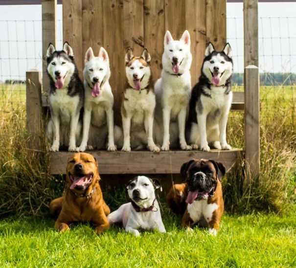 On 3 Say Chicken Feet