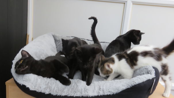 I Should Have Bought Two.