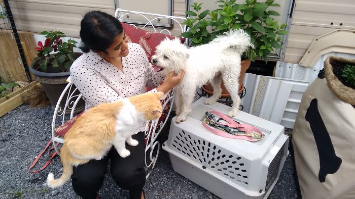 First Time Meeting Him At The Rescue Shelter, He Knew I Was His And Didn't Like A Cat Competing For The Attention.