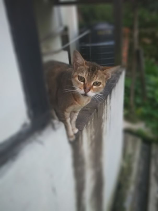 She's Botu...the Cutest One