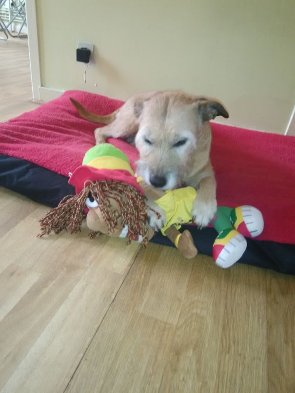 My Girl Found A Plush Reggae Man And Carried It For Two Kilometers Until We Got Home, Its Name's Jah. When She Was 2, We Were Strolling Near A Cemetery, She Brought Me A Forearm. I'm Not Even Sorry I Can't Show You A Photo.