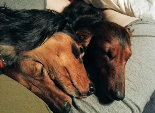 Our Bunch In A Bunch