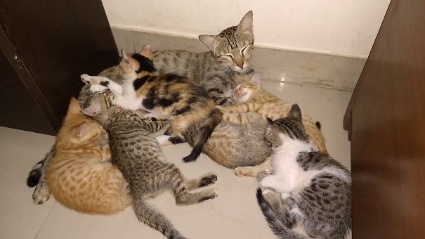 That's How You Take A Nap With Six Kids!