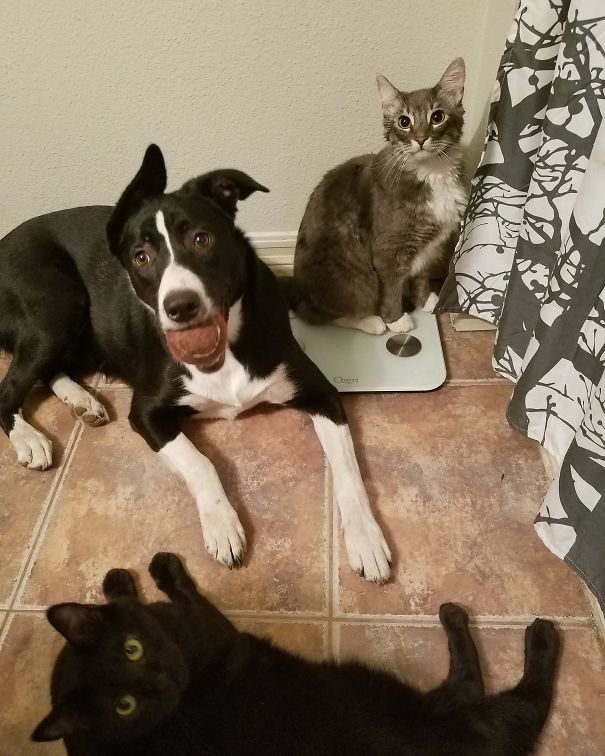 I Never Get To Shower Alone...