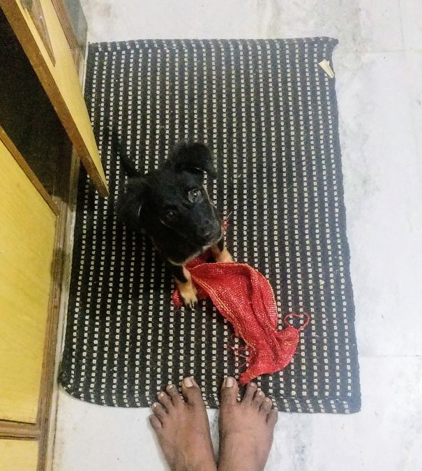 She Brought Me A Red Colour Bag To Exchange With Carrot :)