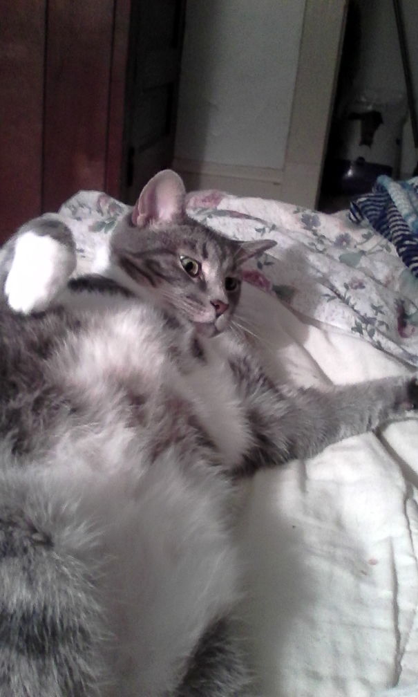 Timper In Her White Halter Top And Shorts