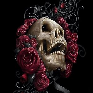 van-ginderdeuren-luna avatar