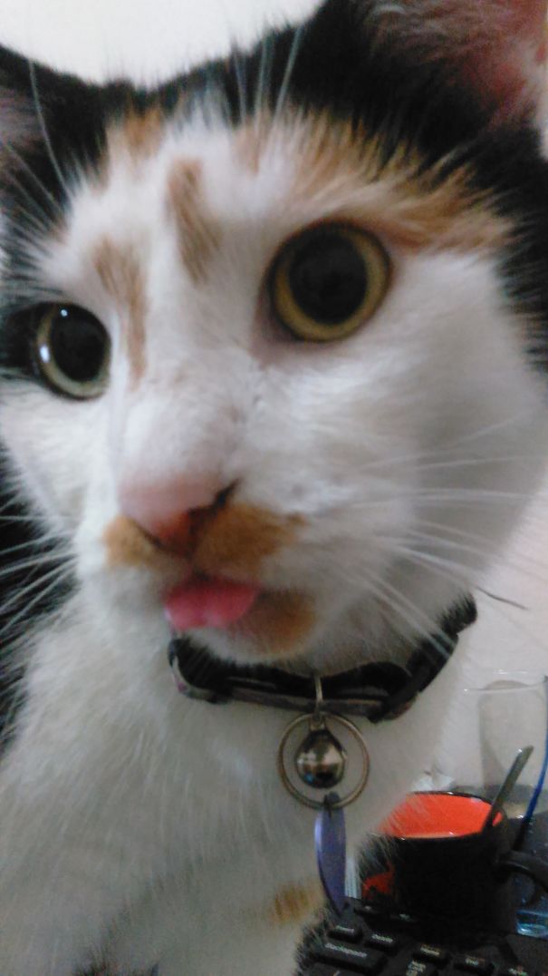 Yuuki Has The Cutest Mustache And Beard.