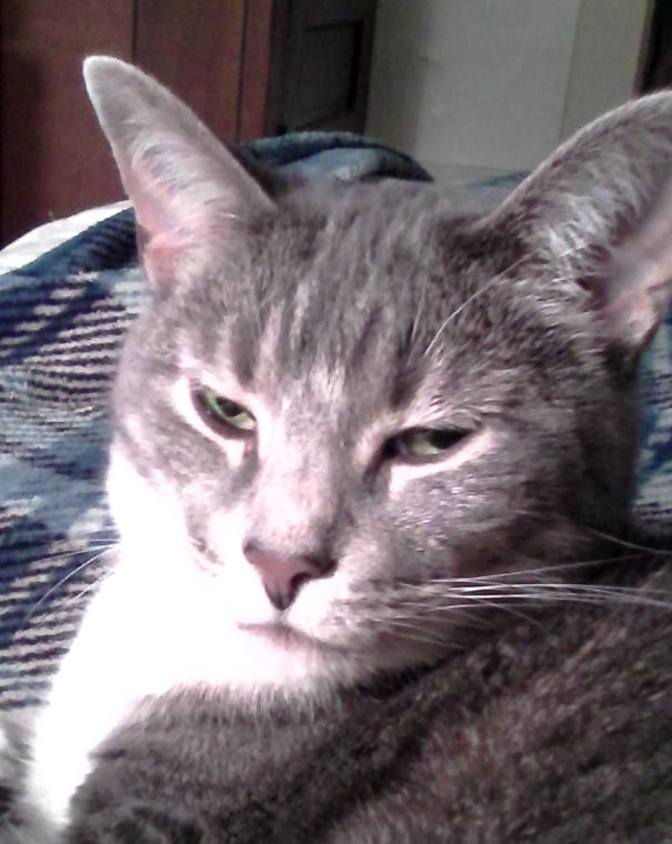 Around Timper's Eyes, The Phoenix Rises!