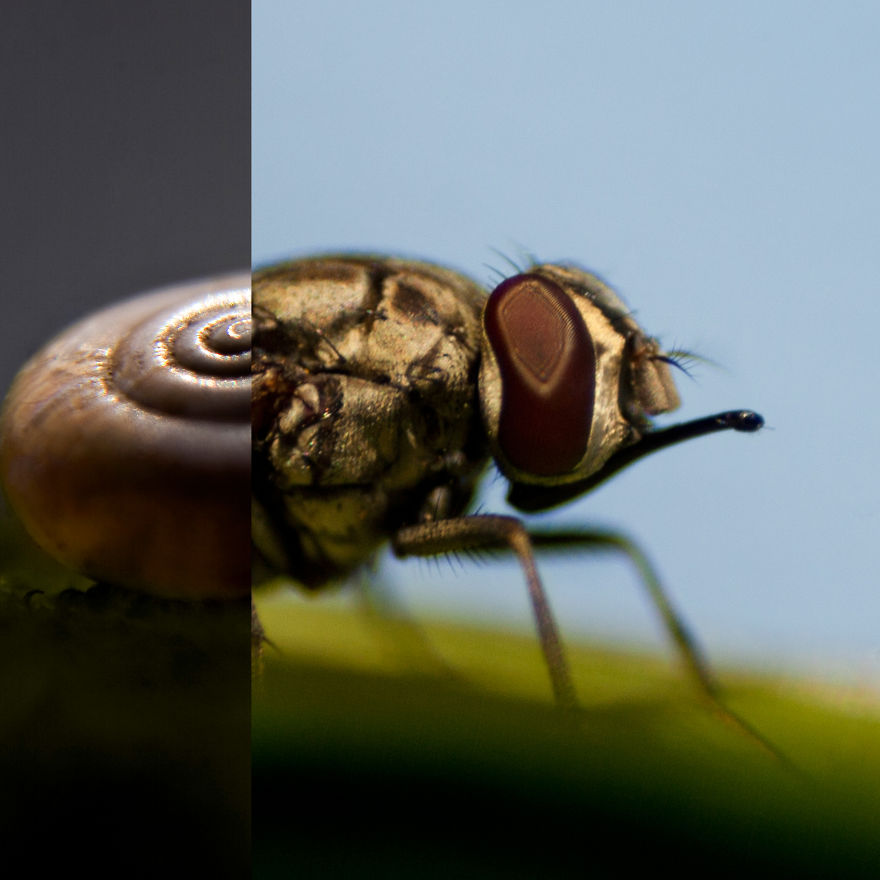 I Created These Photos By Combining Two Different Objects