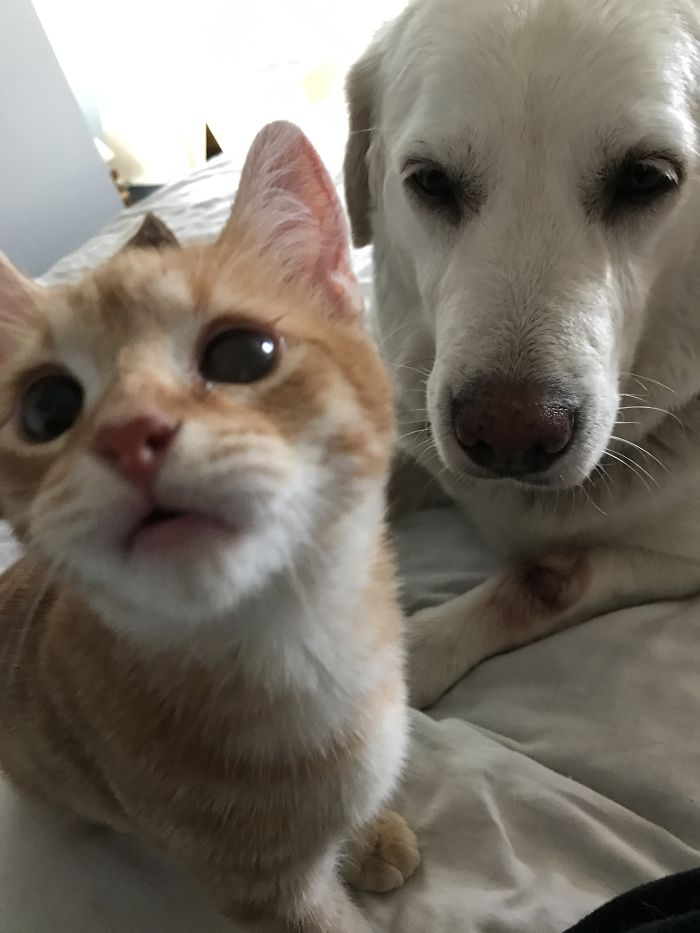 Baby Blaze Has A Broken Leg And "momma" Emma Nurses Him Back To Health