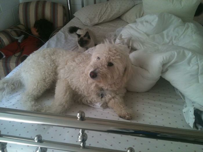 Sorry For The Mess Mommy!