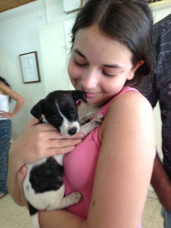 We Adopted Jelly Belly From A Local Shelter. We Are All Totally Besotted With Our Little Princess.