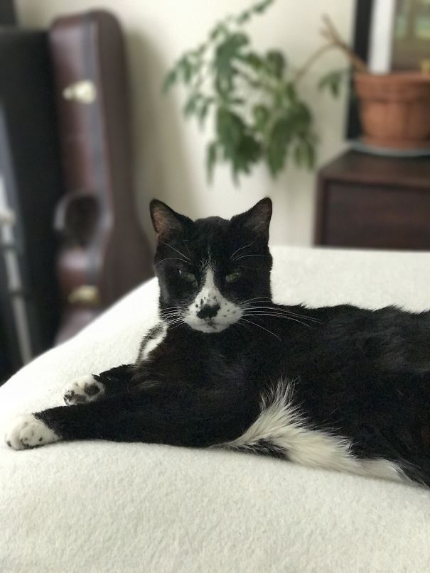 My Handsome Boy Has Freckles On His Face And Feet