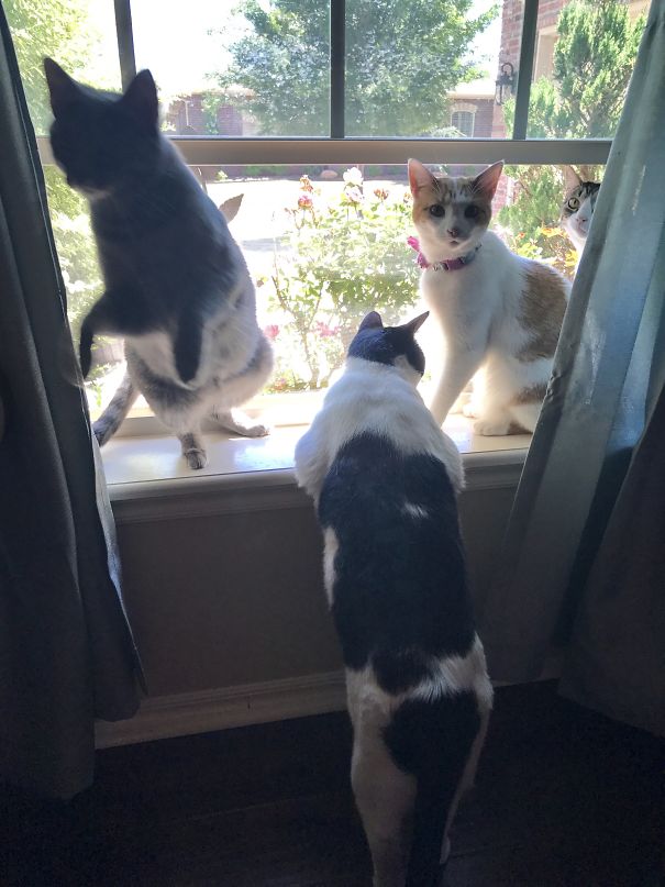 Family Portrait In Action