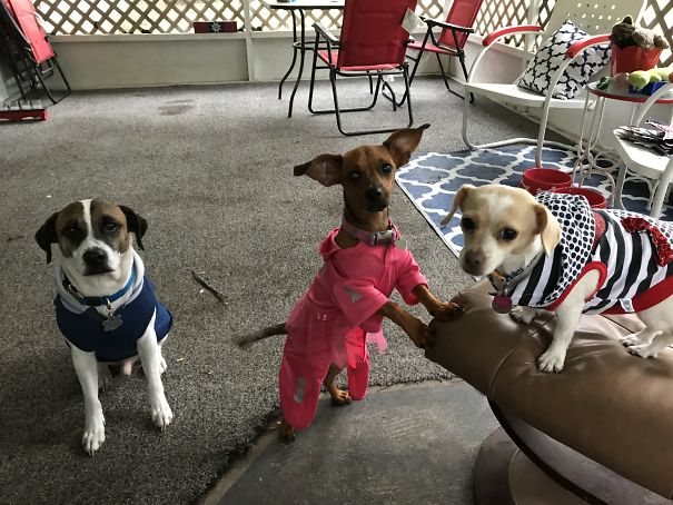 Silly Babies Staying Safe And Warm Before Hurricane Irma ❤️