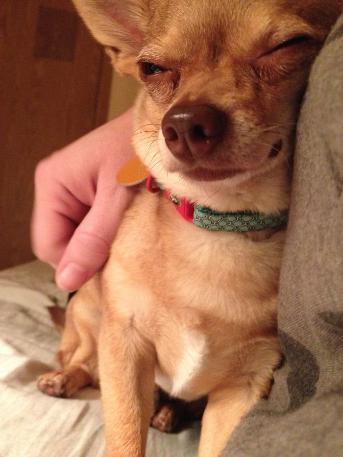 This Is How My Boo Bear Spent The First Night (And Many Nights Since) Sleeping