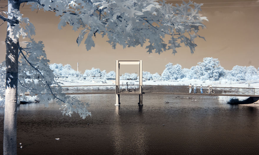 Niederfeldsee, Essen