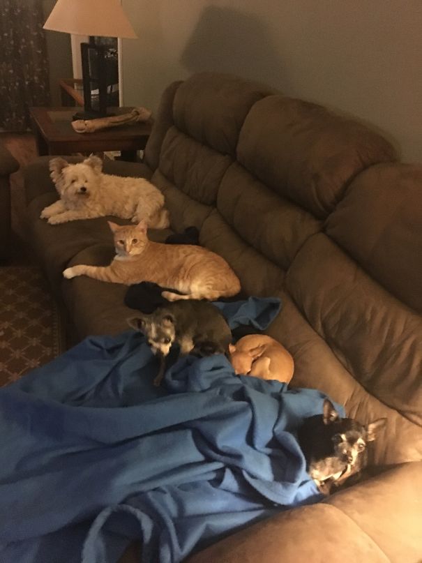 Never Get Up From The Couch Or You Will Lose Your Seat!