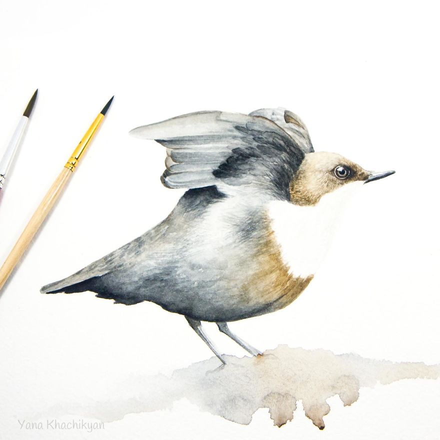 My First Watercolor Paintings