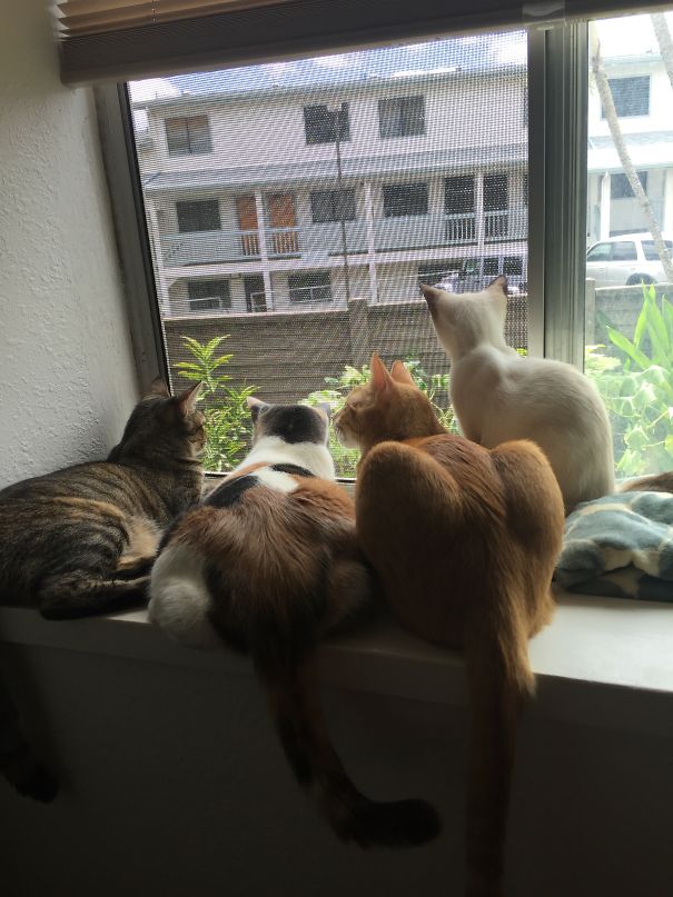 Three Was A Crowd, Four Is So Much More Fun