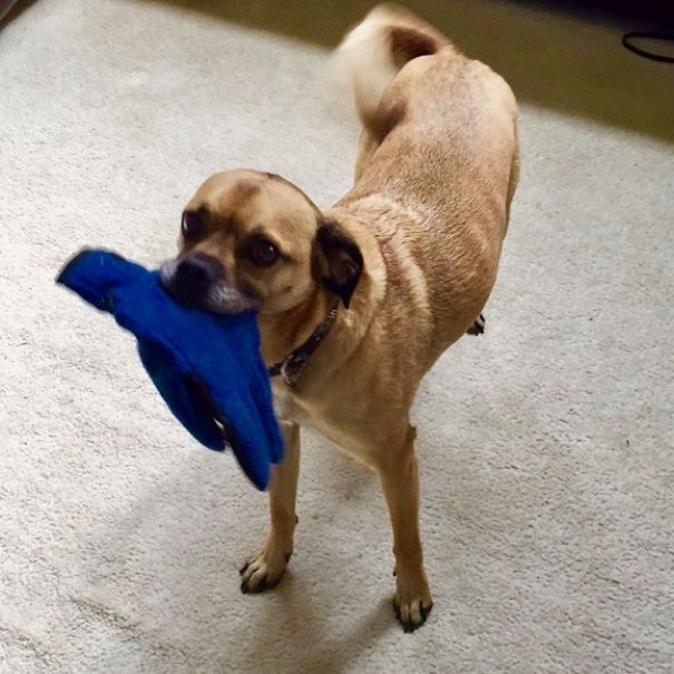 How About A Winter Glove...in Summer?