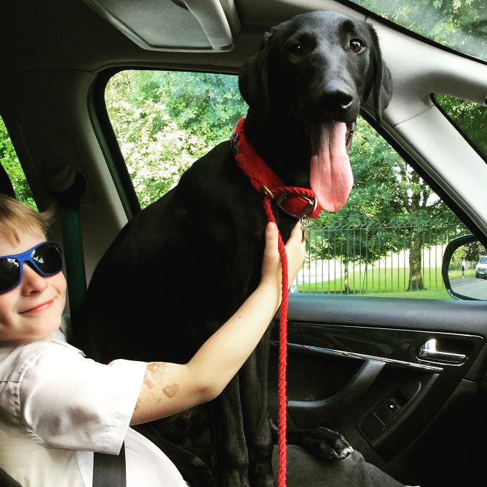 Felix (7) And His Dog Fergus (1) ❤️❤️