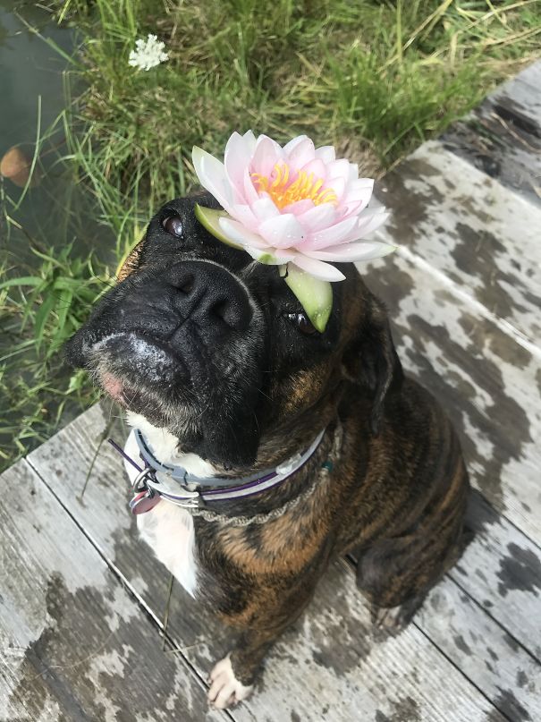 "hey Ma, I Hope You Like It! " -gracie May