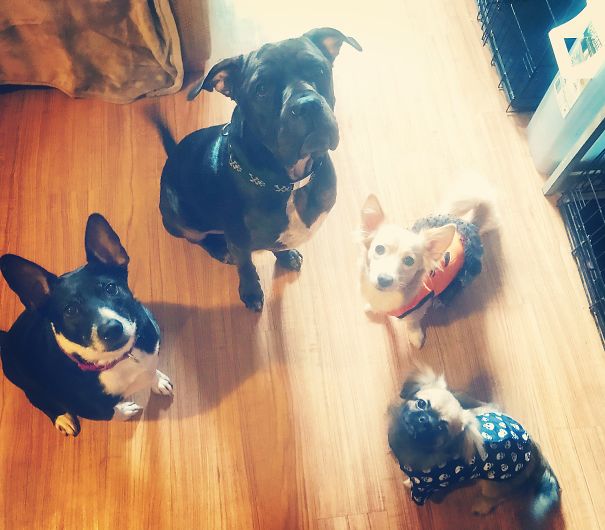 3's A Crowd. 4's A Party!