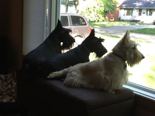 On Guard Against Common Enemies