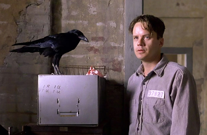 Prisoner standing next to a black crow in a dimly lit room, scene from the movie Shawshank Redemption.