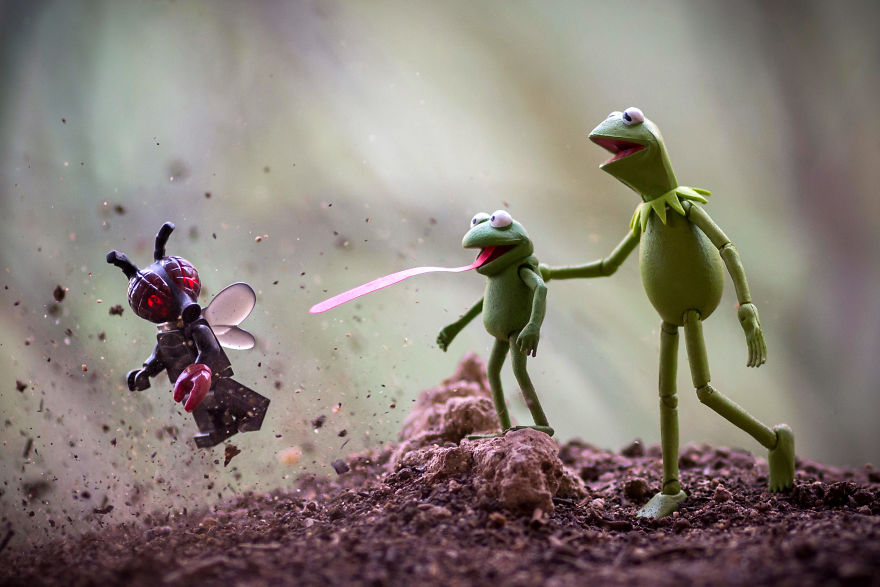 Give A Frog A Fly And You Feed Him For A Day. Teach A Frog How To Catch Flies And You Feed Him For A Lifetime.