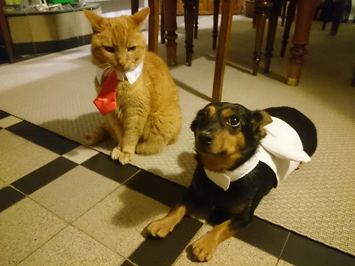 Leo Does Not Approve Of Paulina's Wings, She's More Concerned About That Camera Though...