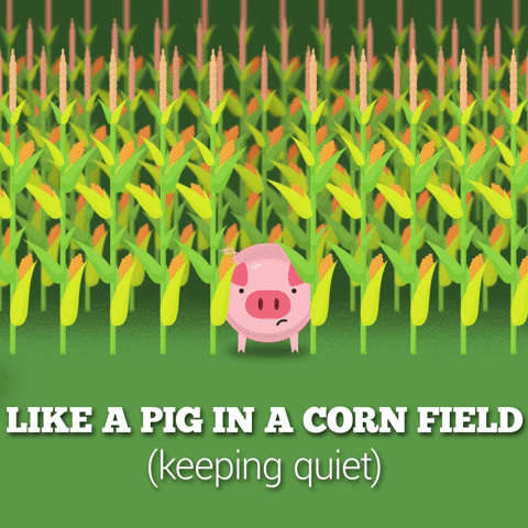 I Animated Some Romanian Idioms So You Can See How Strange We Are