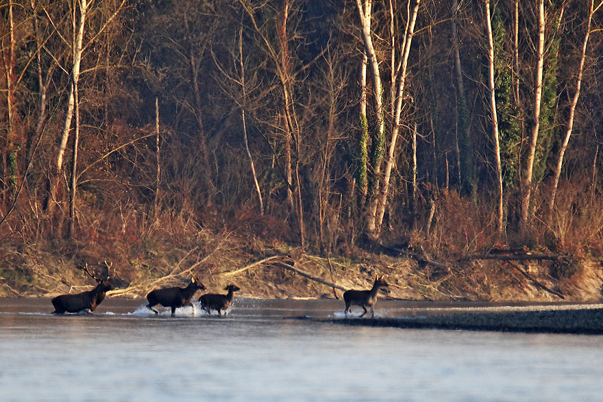 I Swam Across, Flew Over, Dived Into, And Hiked Along The Fabulous Rivers Of Croatia I Swam Across, Flew Over, Dived Into, And Hiked Along The Fabulous Rivers Of Croatia