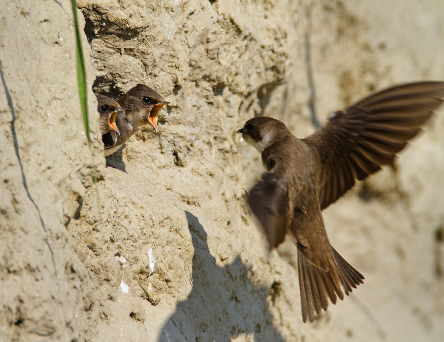 I Swam Across, Flew Over, Dived Into, And Hiked Along The Fabulous Rivers Of Croatia I Swam Across, Flew Over, Dived Into, And Hiked Along The Fabulous Rivers Of Croatia