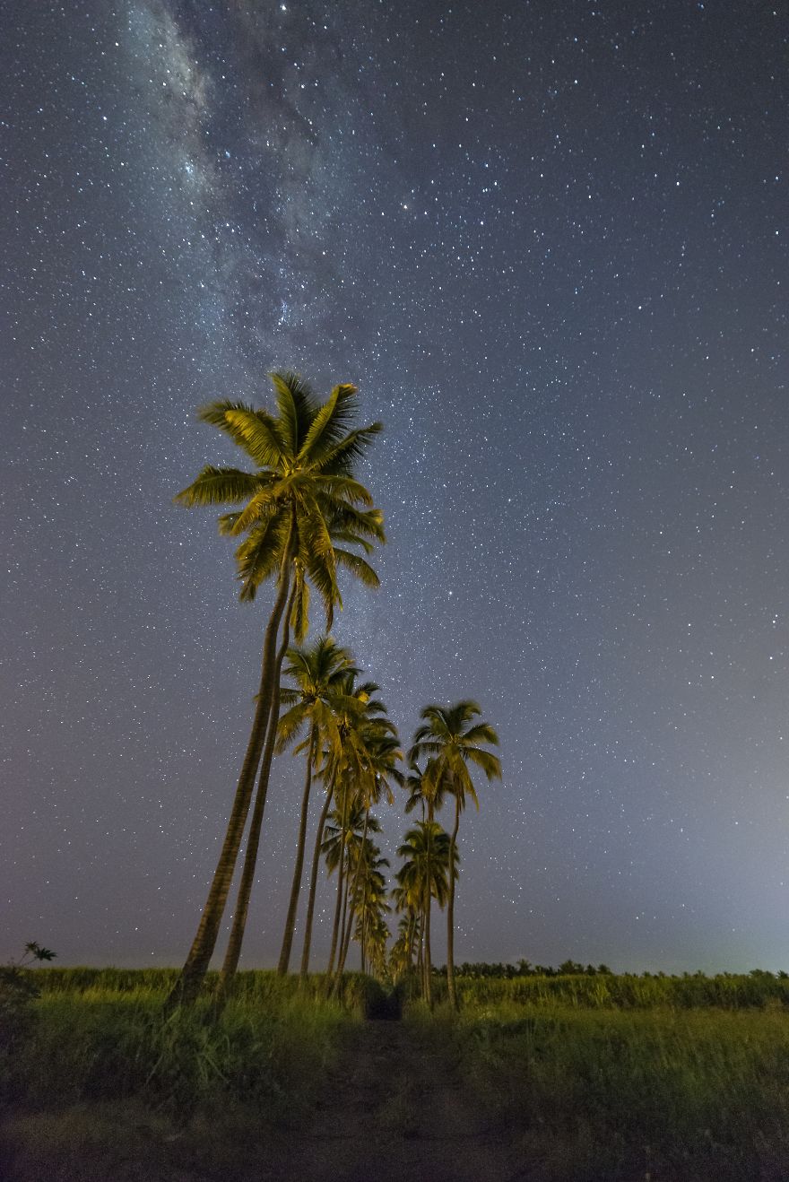 Junior 2nd Prize | En Route To The Stars, France - Alice Fock-hang / Pna