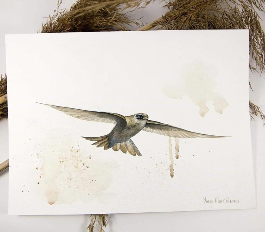 My First Watercolor Paintings