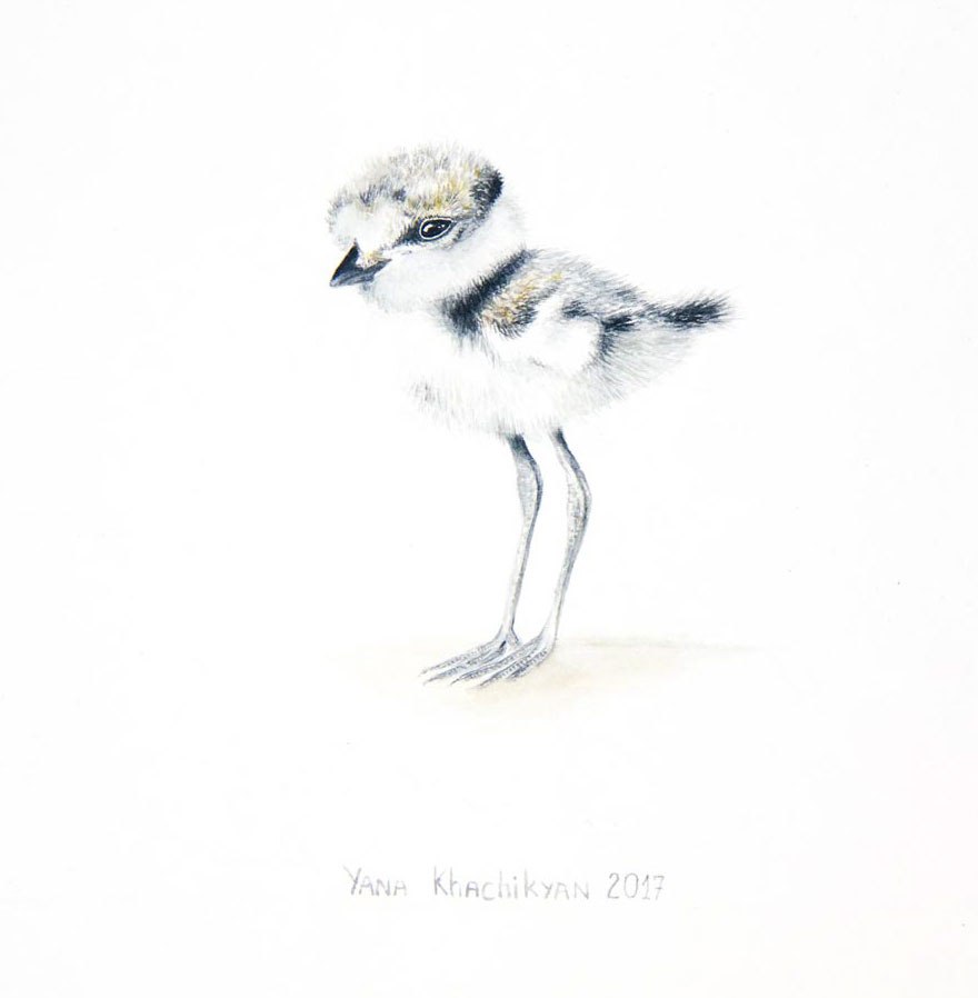 My First Watercolor Paintings