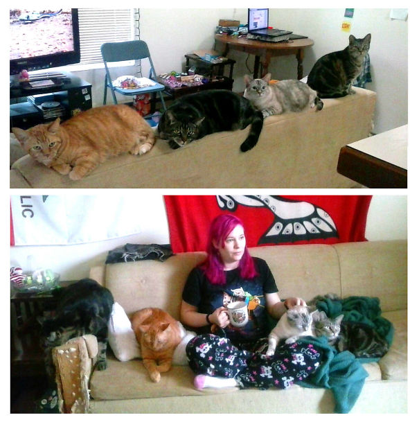 (top: From Right To Left) Father, Brother, Sister And Mother... Life Is Better With A Pride!