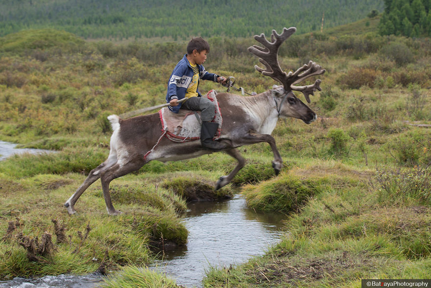 I Took Photos Of Adorable Kids With Their Reindeer In The Remote Taiga Mountains Of Mongolia