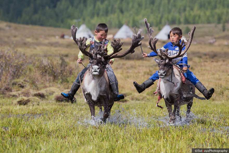 I Took Photos Of Adorable Kids With Their Reindeer In The Remote Taiga Mountains Of Mongolia