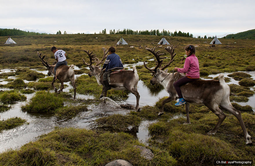 I Took Photos Of Adorable Kids With Their Reindeer In The Remote Taiga Mountains Of Mongolia