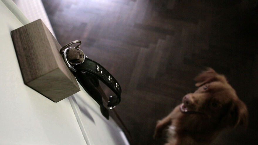 Magnetic Wood Infused With Attraction