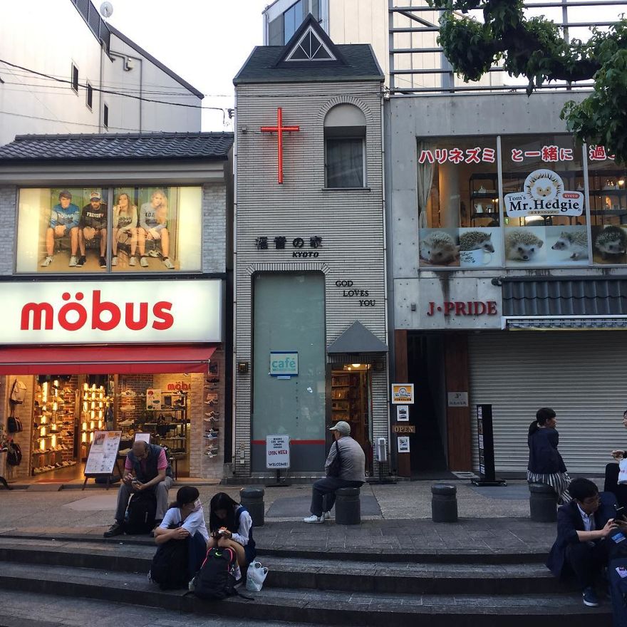 Mobus, God Loves You, Mr. Hedgie