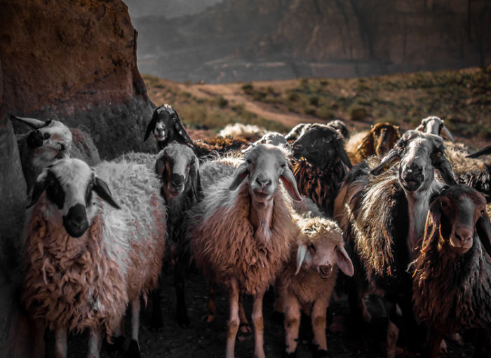 Photography With A Mirrorless Camera