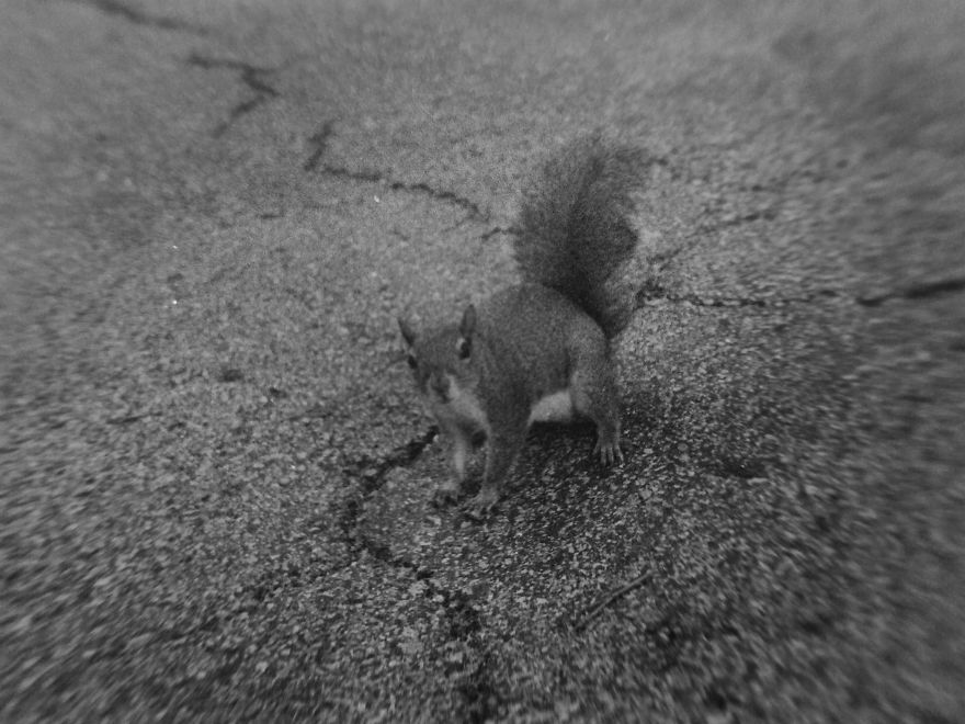 I Took Pictures Of My Negatives With An Iphone And A Clip-On Macro Lens And Got A Pretty Cool Effect I Took Pictures Of My Negatives With An Iphone And A Clip-On Macro Lens And Got A Pretty Cool Effect